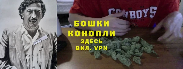 ALPHA PVP Надым