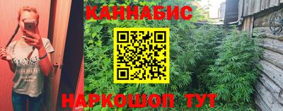 прущая мука Гатчина