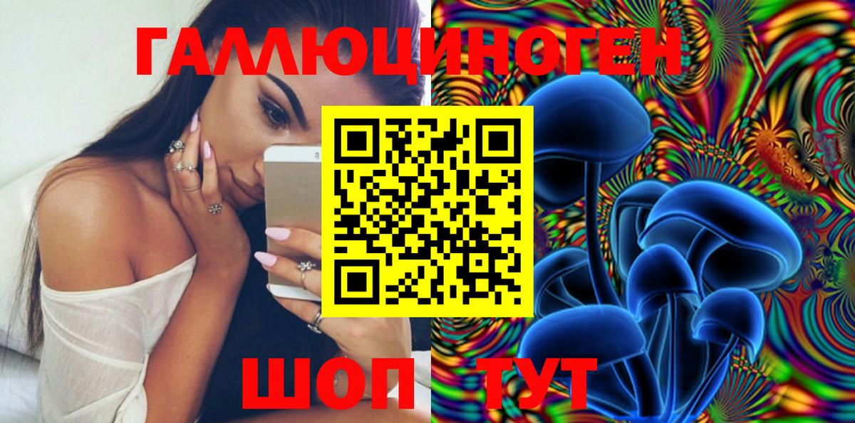 Псилоцибиновые грибы мицелий  Донской 