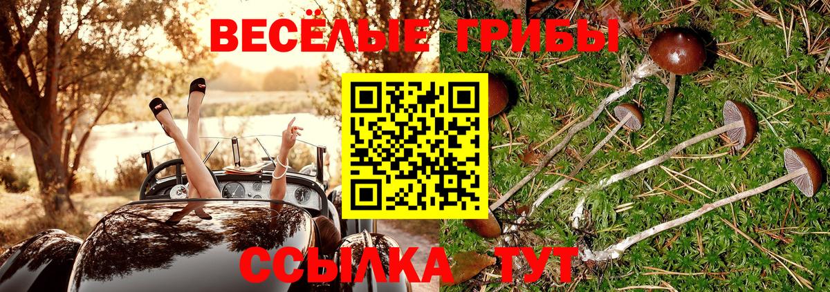 Галлюциногенные грибы прущие грибы  Вход с VPN  Донской 