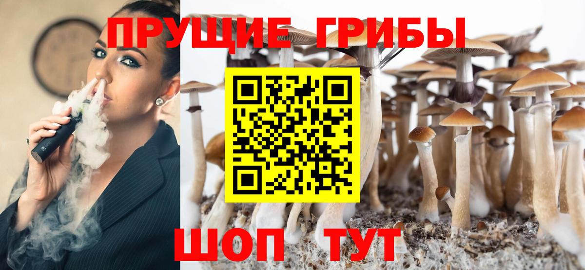 Псилоцибиновые грибы Psilocybe Донской