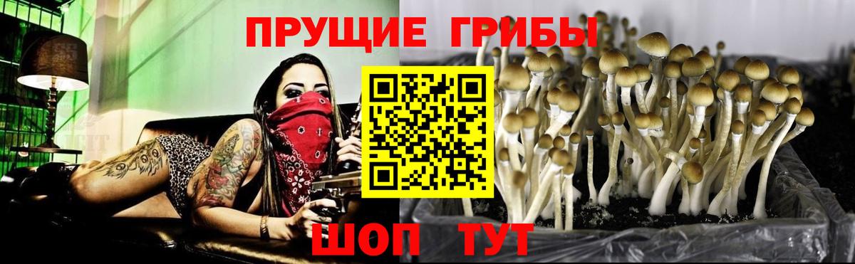 Галлюциногенные грибы мухоморы Донской