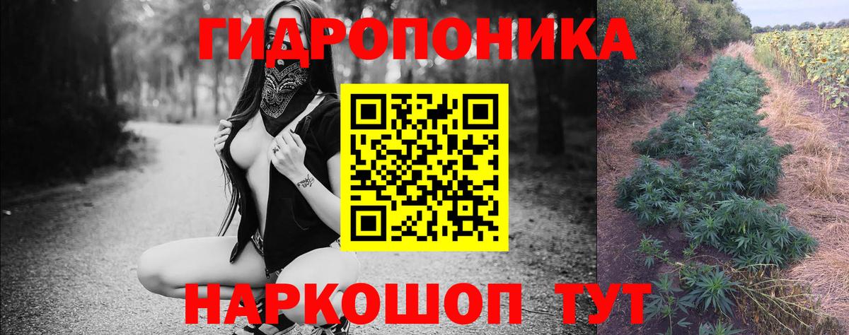 Донской  Каннабис планчик  МАРИХУАНА ГИДРОПОН  Вход с VPN 